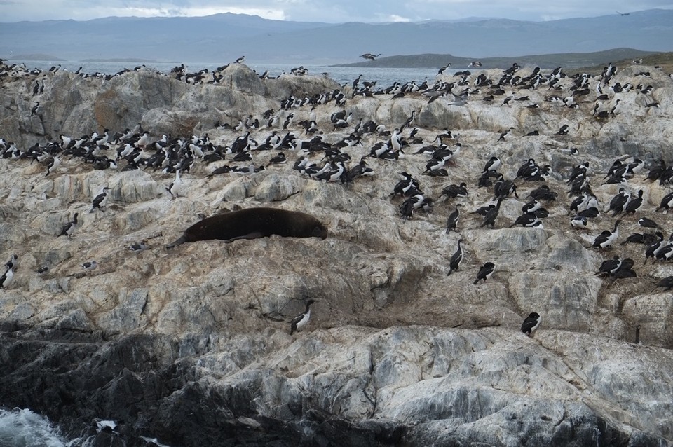 Argentina - Ushuaia - 