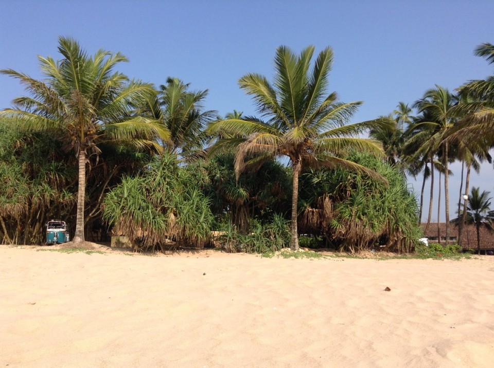 Sri Lanka - Bentota Beach - 