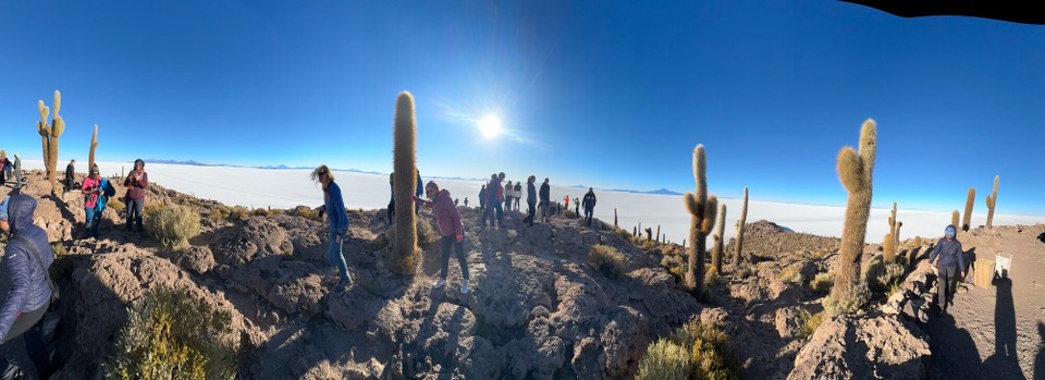 Bolivien -  - Eine Kakteeninsel im Salzmeer