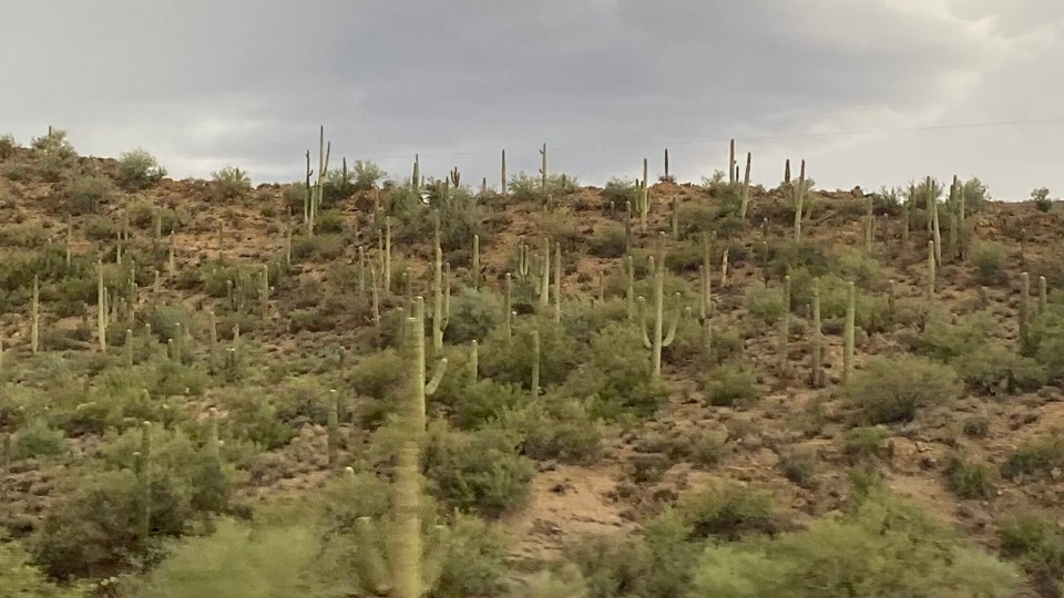 Vereinigte Staaten - Phoenix - 