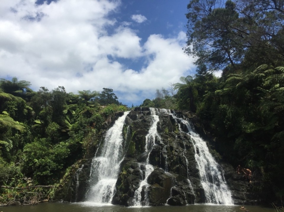 Neuseeland - Waikino - 