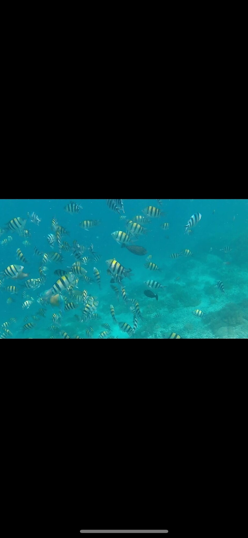 Indonesien - Kabupaten Lombok Utara - 