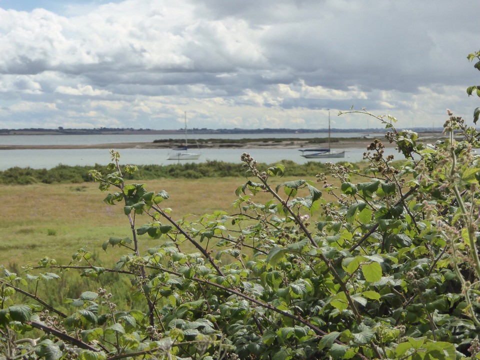 United Kingdom - Colchester - 