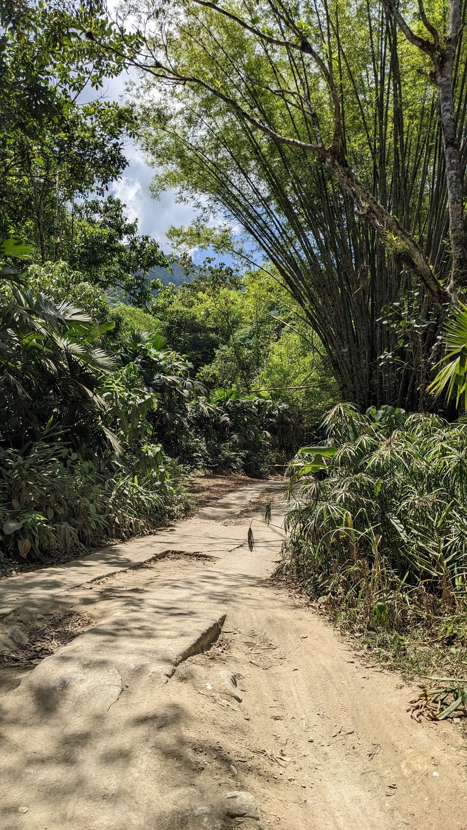 Kolumbien - Minca - 