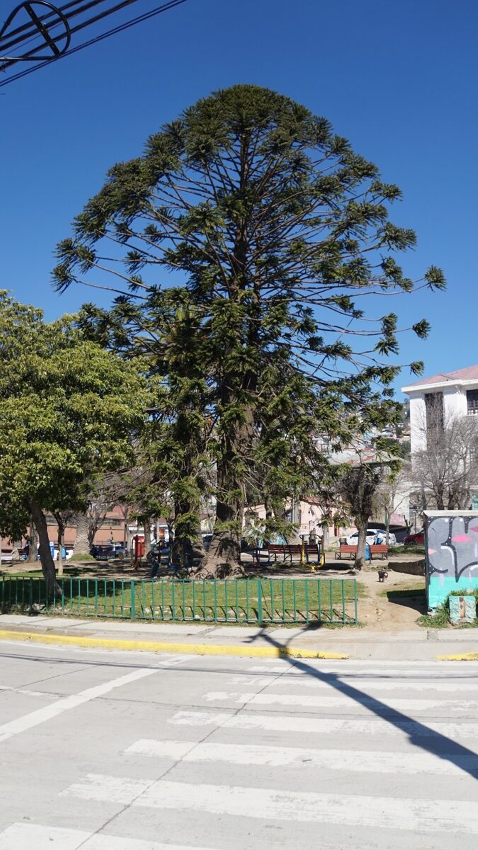 Chile - Santiago de Chile - 