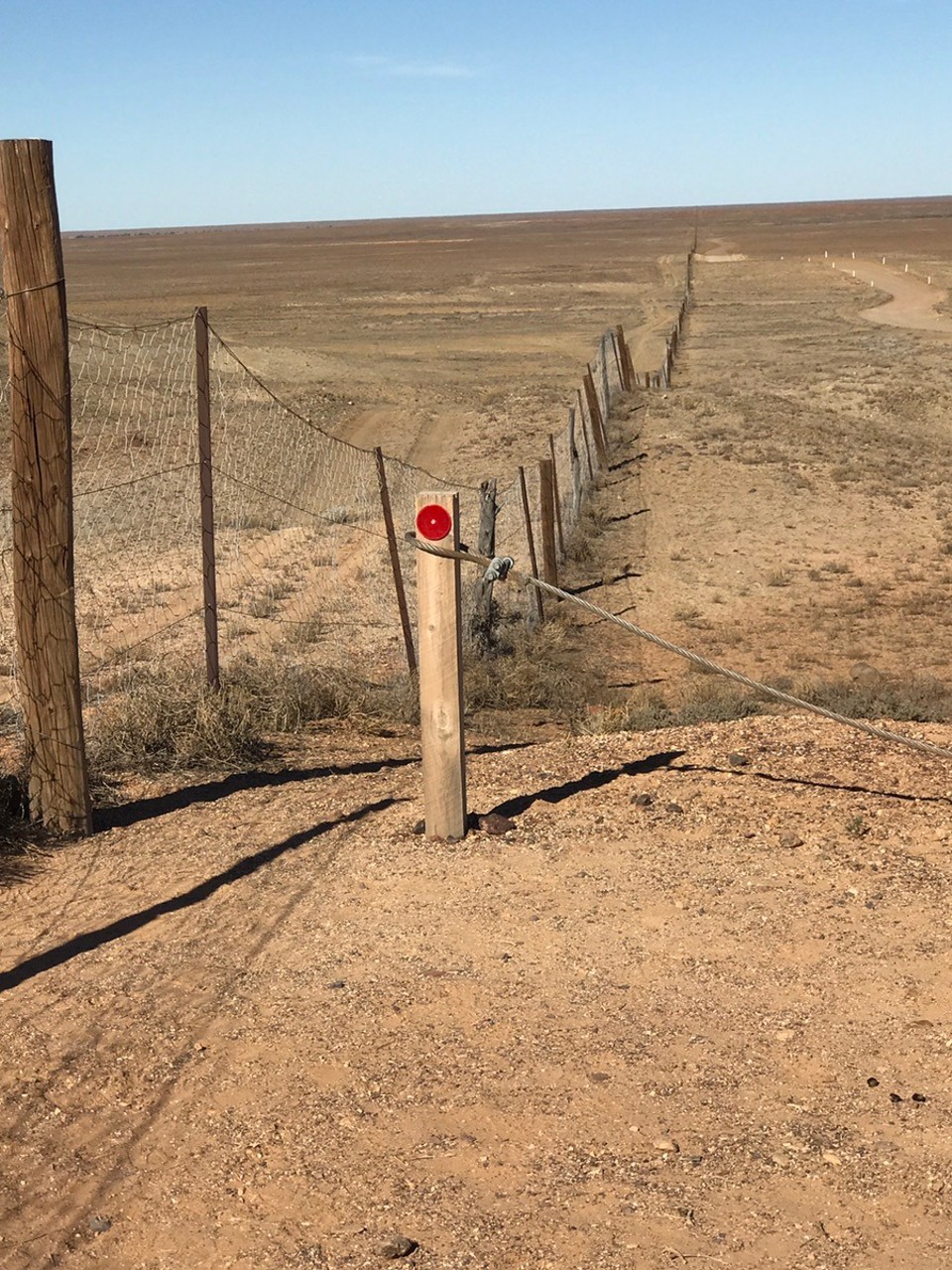 Australia - Coober Pedy - Longest fence in da world !! Dingo one side ... sheep the other ! 