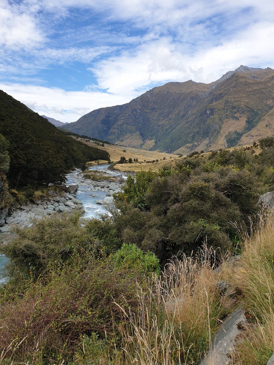 Neuseeland - Wanaka - 
