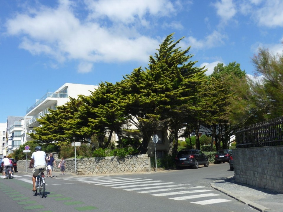 Frankreich - Nantes, St. Nazaire, Cote d´Amour - 