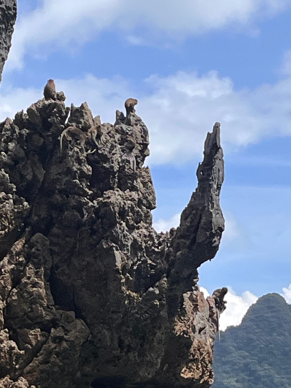 Thailand - Phanom - Khao Sam Kloe nennen sich die beeindruckenden freistehenden Kalksteinfelsen, welche inmitten des Cheow Lan Sees stehen. Meterhoch thronen sie erhaben über den türkisblauen See und geben jedem vorbeifahrenden Bötchen das Gefühl, nicht größer als der Fingerabdruck zu sein. 