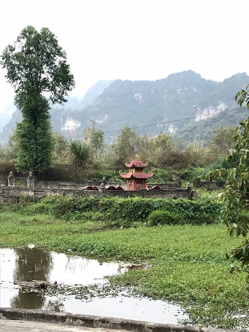 Vietnam - H. Hoa Lư - 