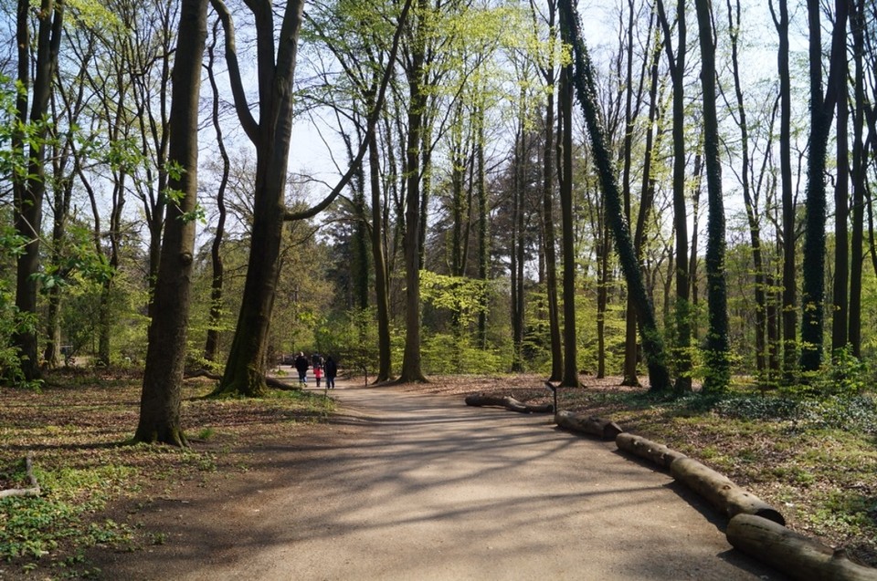 Deutschland - Rostock - Der Zoo lädt ein für schöne Spaziergänge.