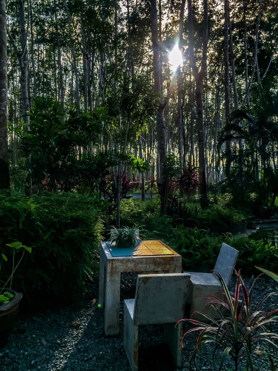  - Phang Nga - 
