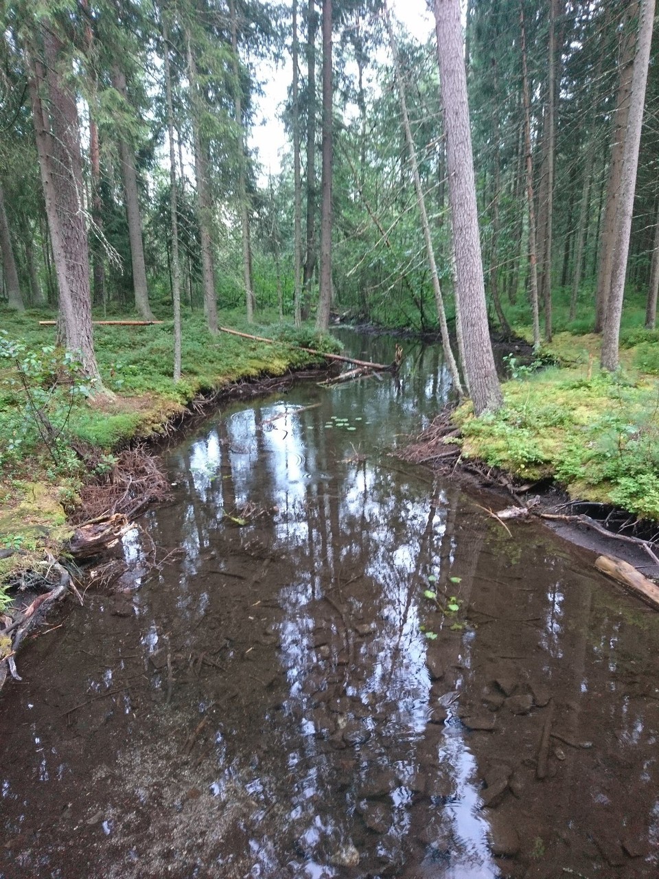 Finnland - Tampere - Rundgang um den See 4/4