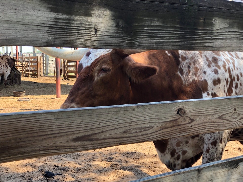 Vereinigte Staaten - Fort Worth - 