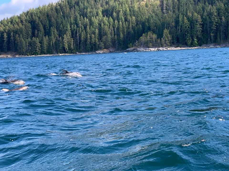 Kanada - Campbell River 11 - 