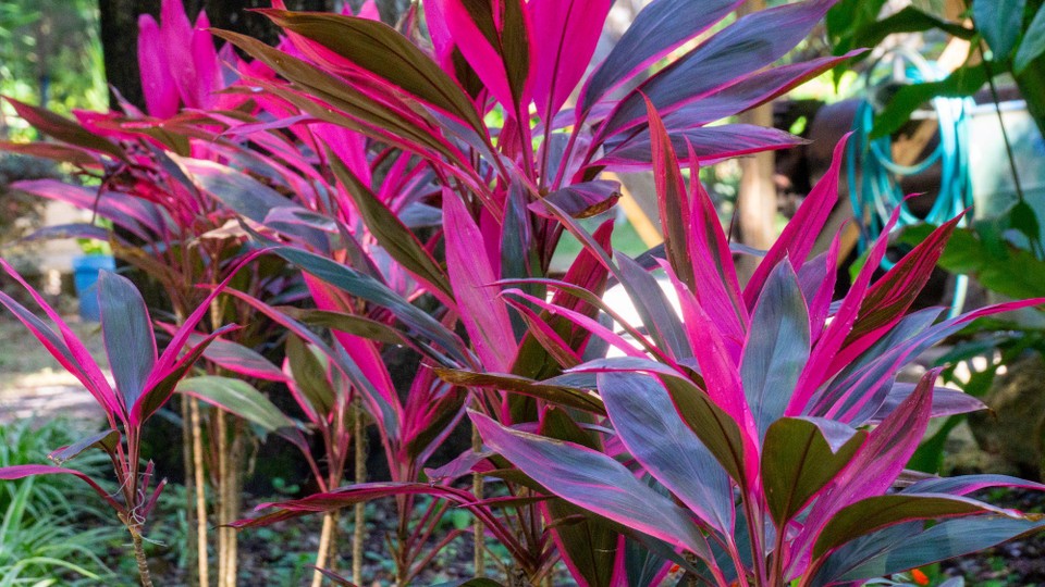 USA - Daytona Beach - 