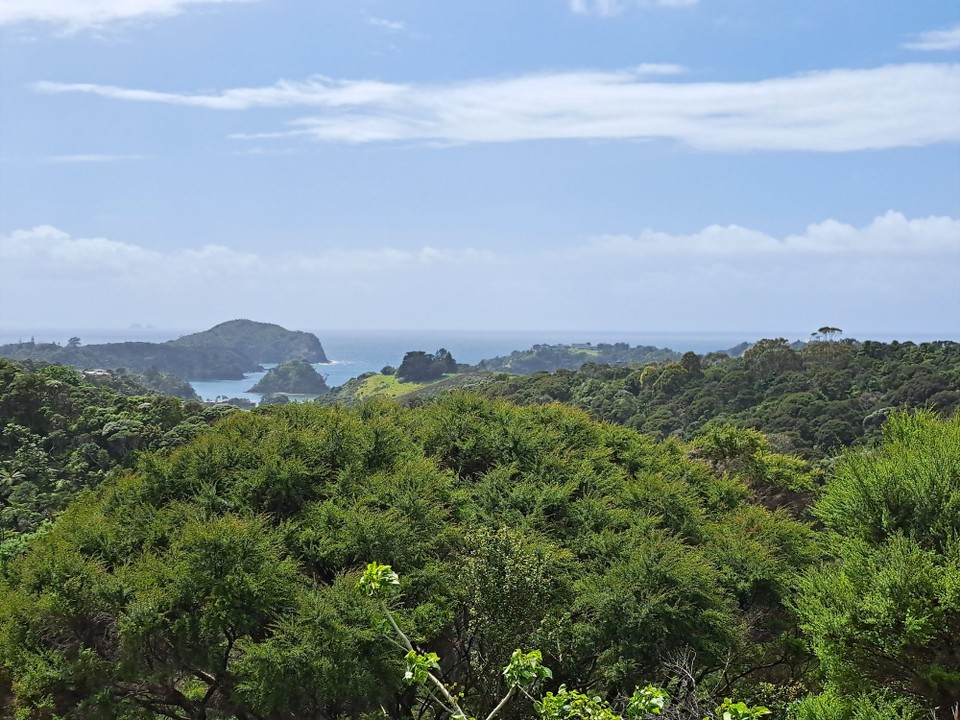 Neuseeland - Ngunguru - 