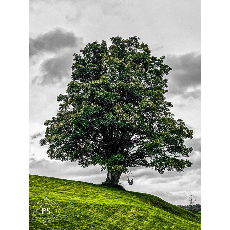 Vereinigtes Königreich - Glasgow - 