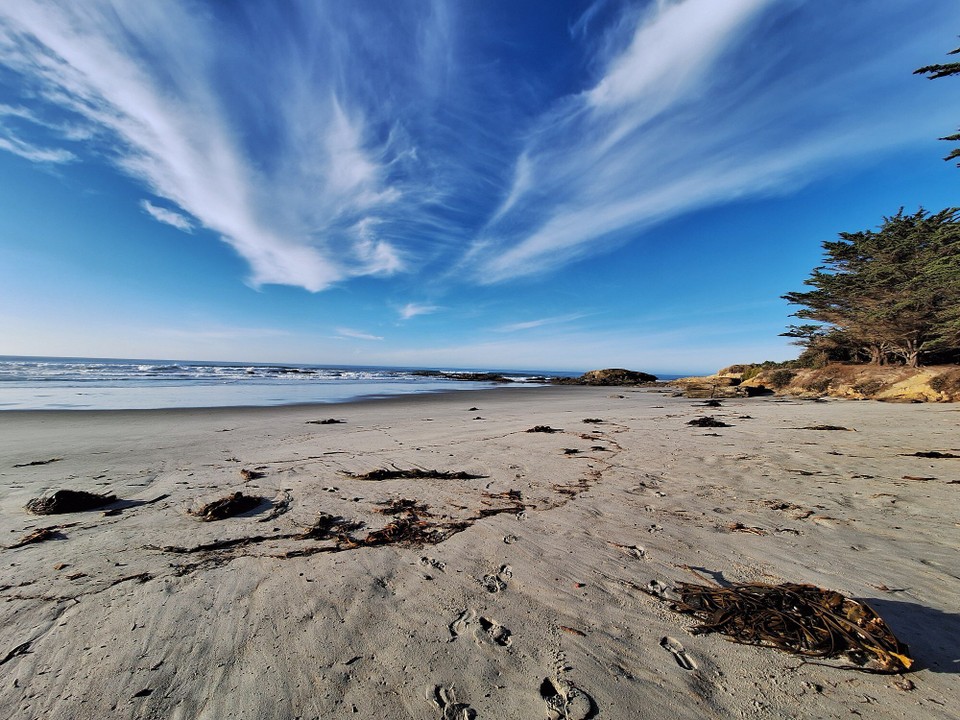 Neuseeland - Dunedin - 