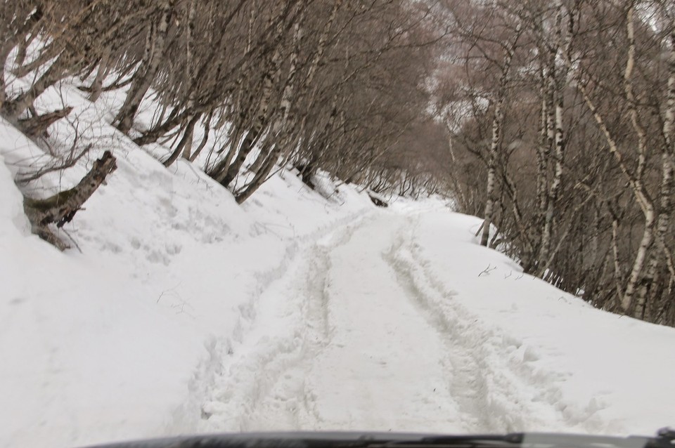 Georgia - Mkinvartsveri - 