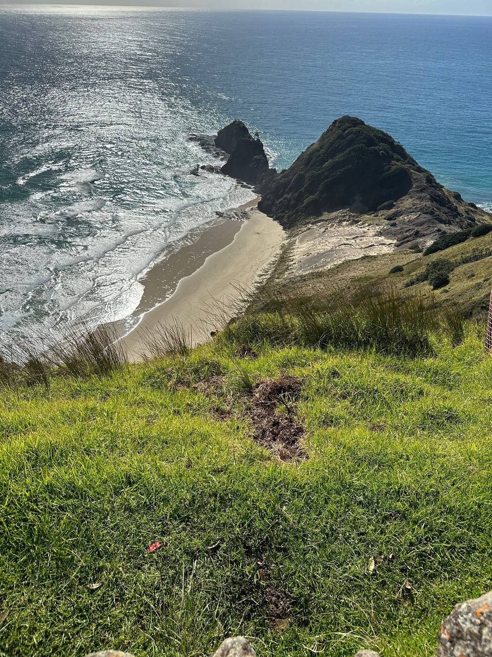 Neuseeland - Cape Reinga - mehr nördlich geht nicht