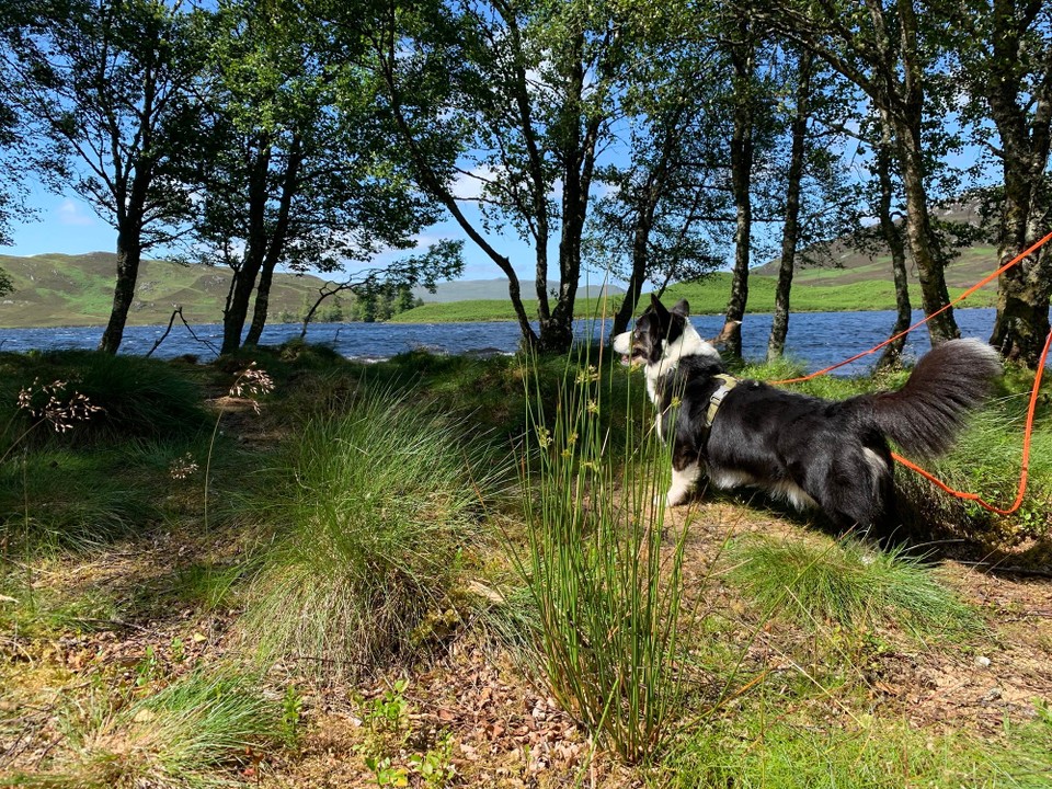Vereinigtes Königreich - Inverness - 