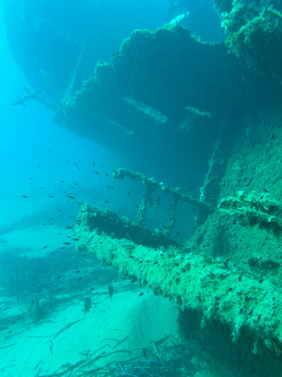 Italien - Marciana - 