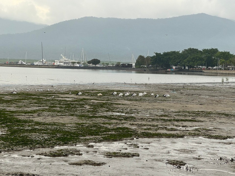 Australien - Cairns - 