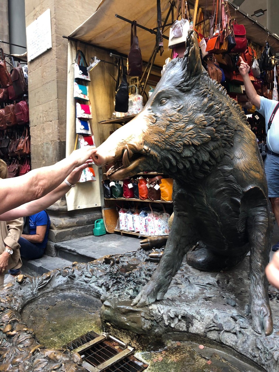 Italien - Firenze - Jeder der in Florenz ist muss das Wildschwein berühren, da dies Glück bringt