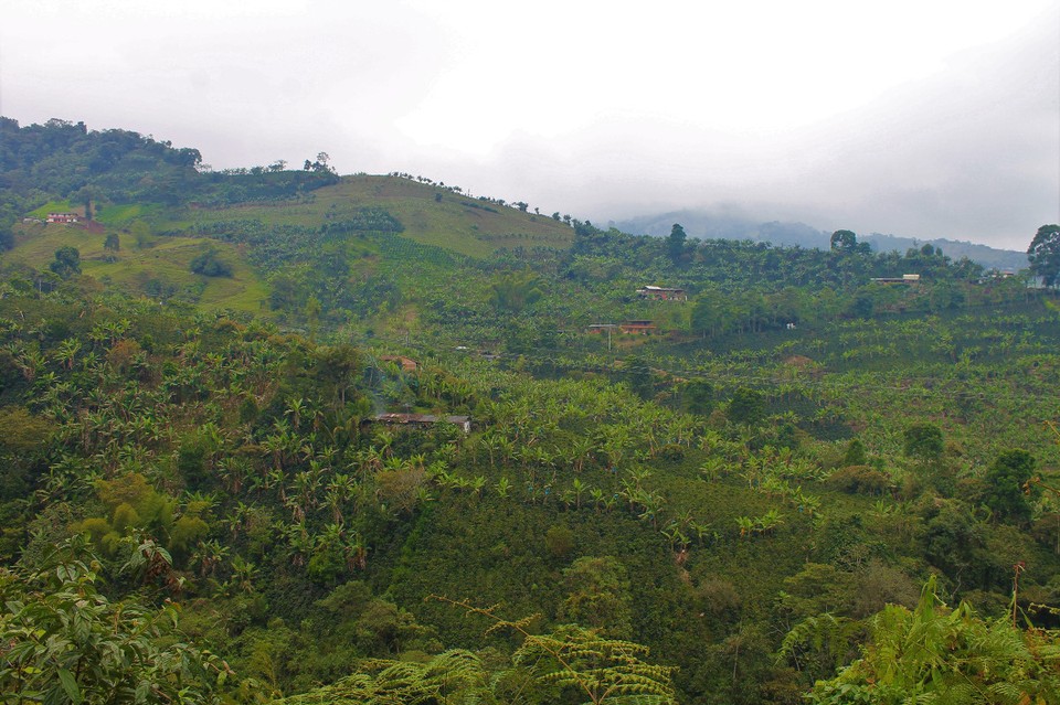 Colombia - Jardín - 