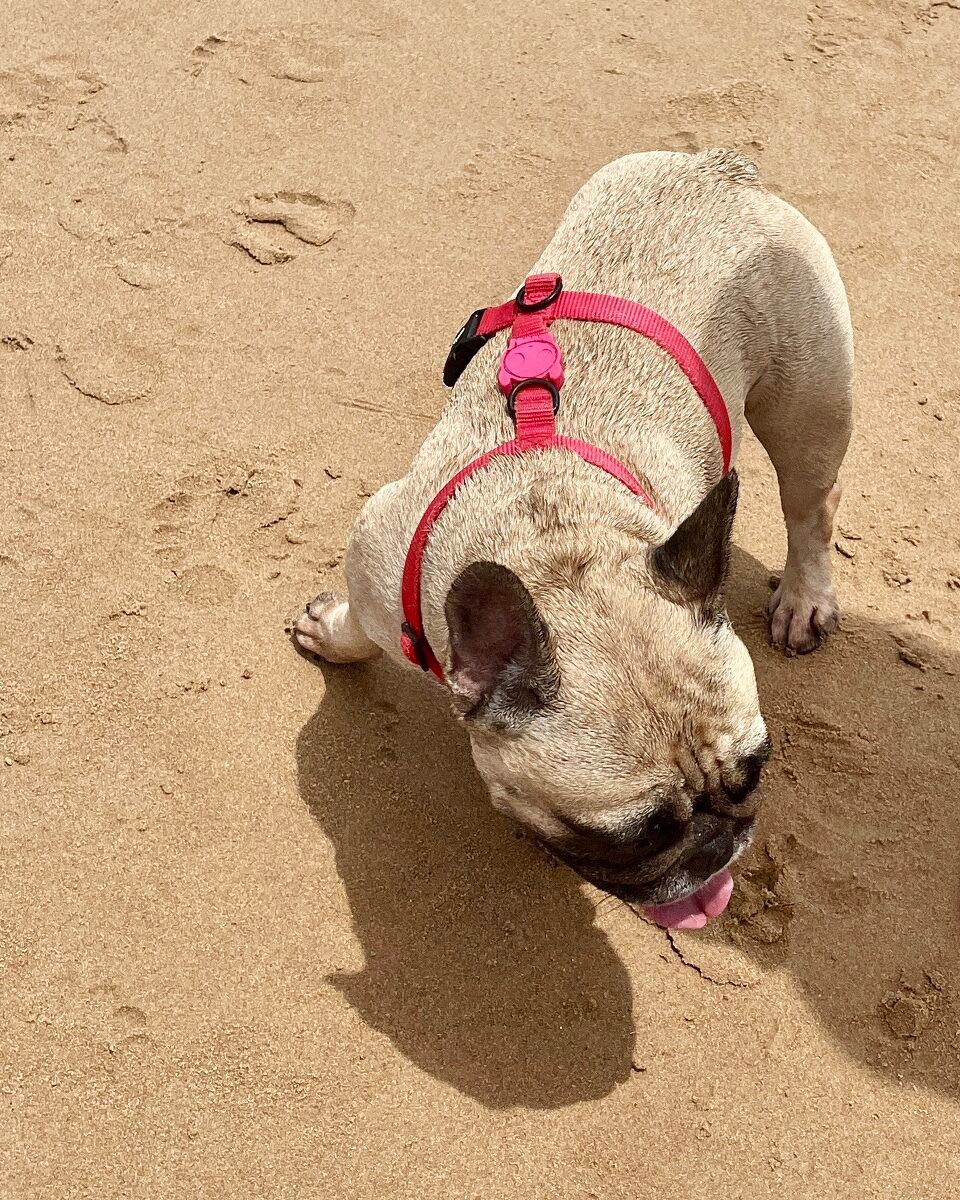 Brasilien - Salvador - 