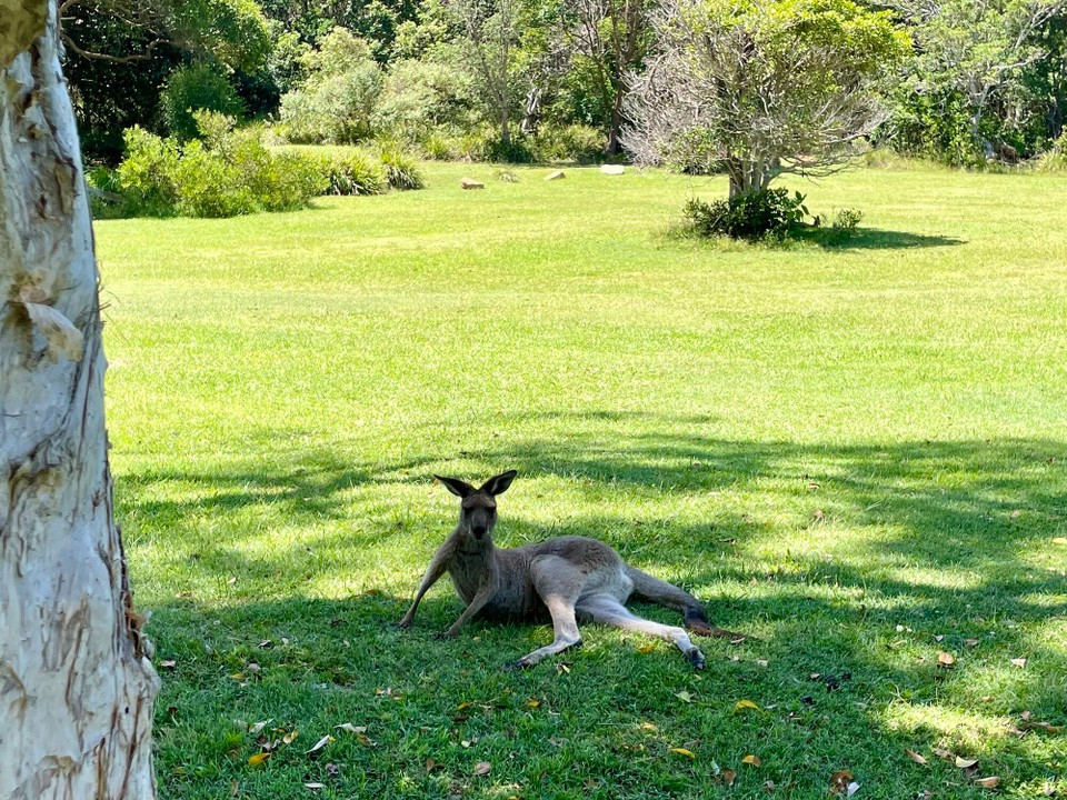 Australien - Sapphire Beach - Hammer Pose!