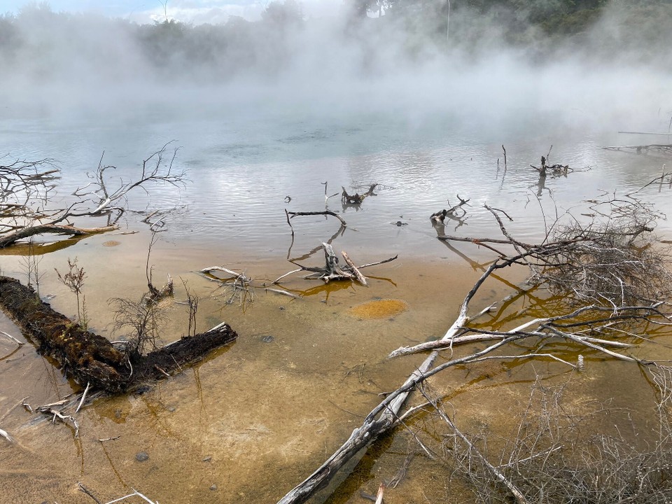 Neuseeland - Rotorua - 