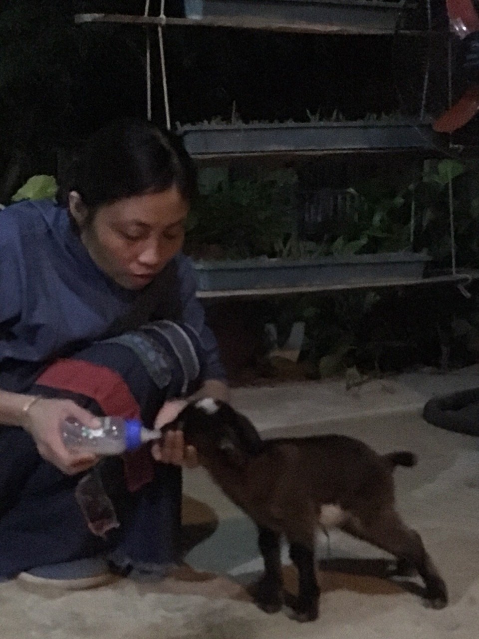 Vietnam - H. Mai Châu - 