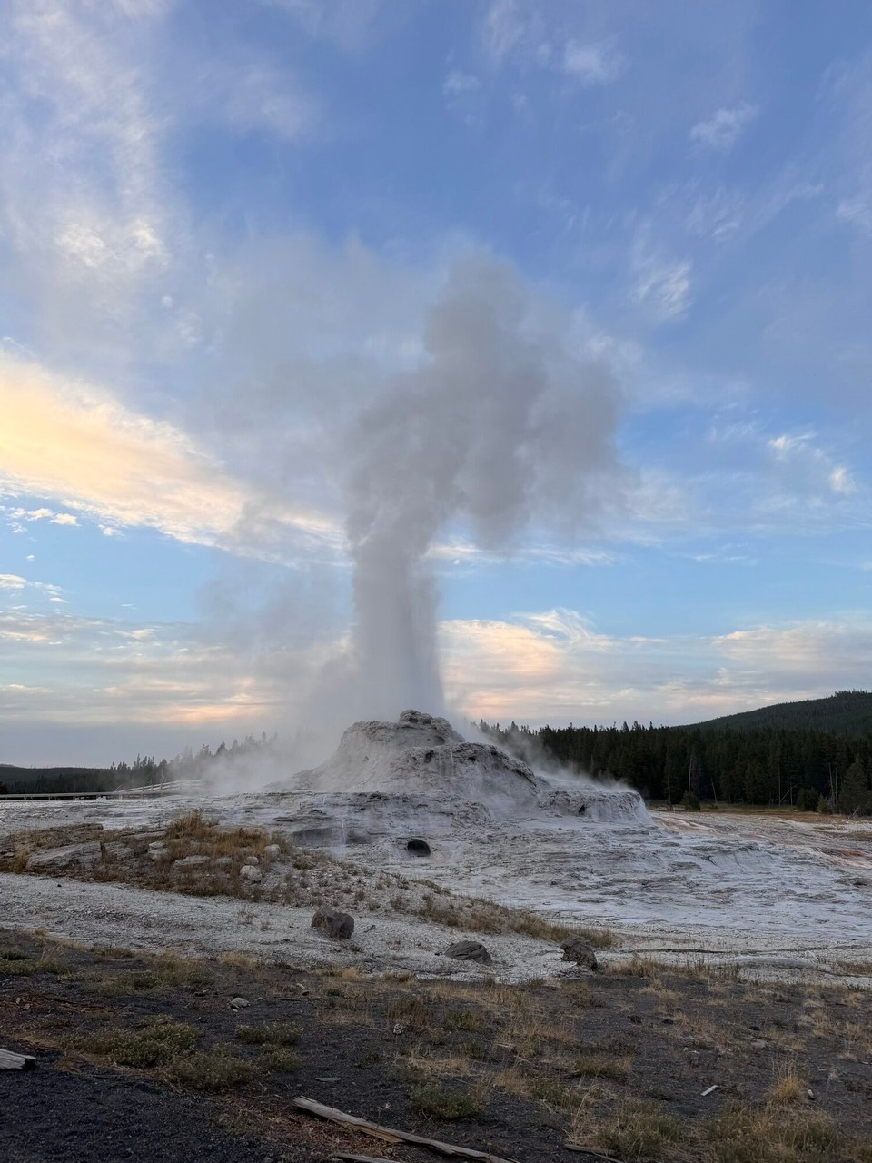 Vereinigte Staaten - Yellowstone National Park - Nochem Znacht simmer no uf en Rundfahrt, uf de suechi nachem Bär.🐻 Leider hemmer keine gseh (esch evtl au besser, susch chani nümm schlafe😂). Bim Old Faithful Gaysir hemmer gseh, dass de Castle Gaysir immer am 8pm en riese Wasserfontäne hed, die simmer denn no go bestune. Sie hed nomol alles Topt.