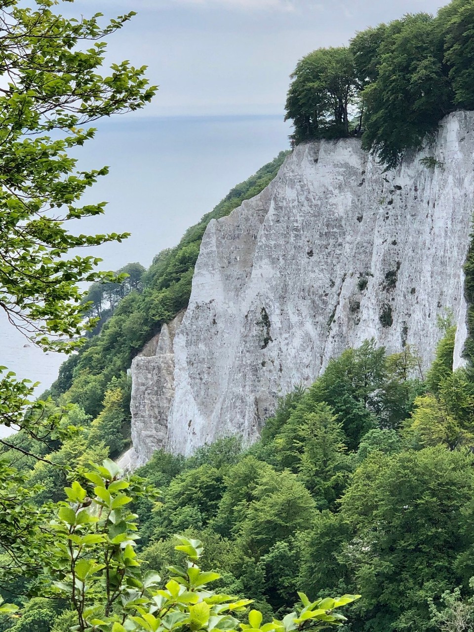 Deutschland - Lohme - Rügen Kreidefelsen