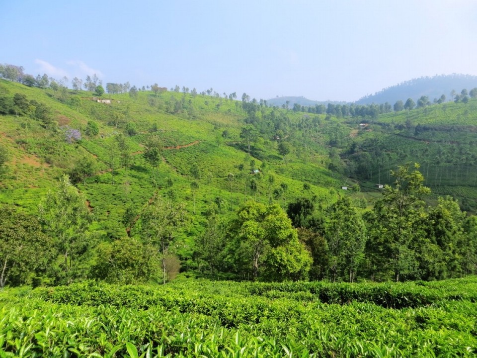 Indien - Coonoor - 