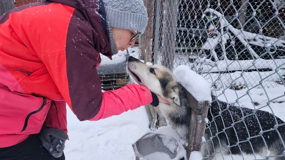 Schweden - Kiruna - Wiedersehen mit Kira 