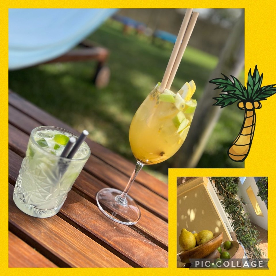 Portugal - Zambujeira do Mar - 