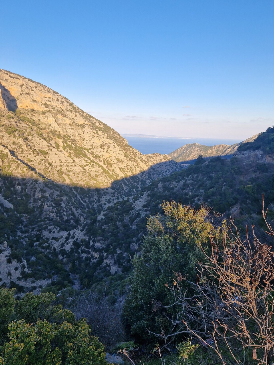 Griechenland - Fokiano - 