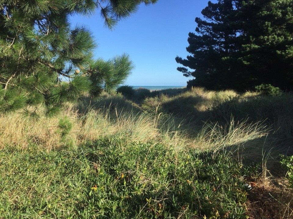 Neuseeland - Leithfield - Leithfield Campingplatz 
