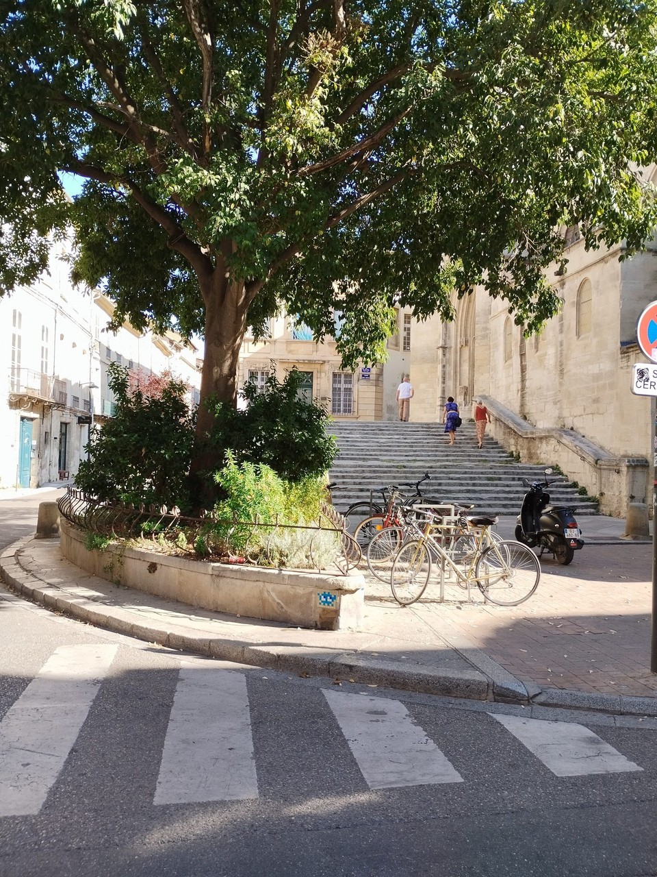 Frankreich - Avignon - 