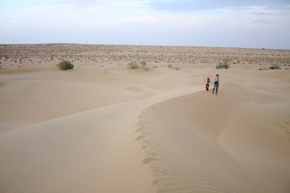 Thar Desert -  - 