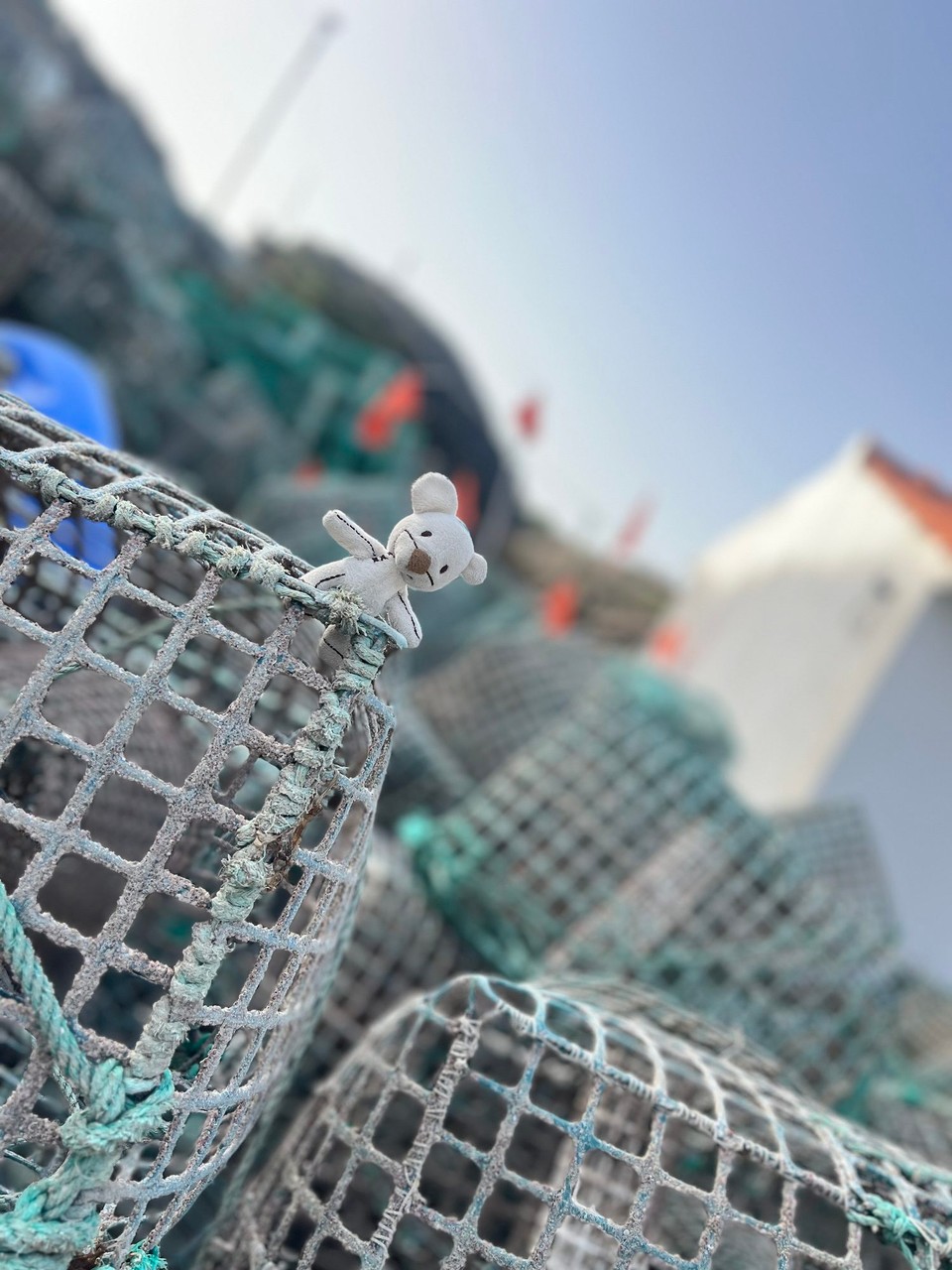 Portugal - Zambujeira do Mar - 