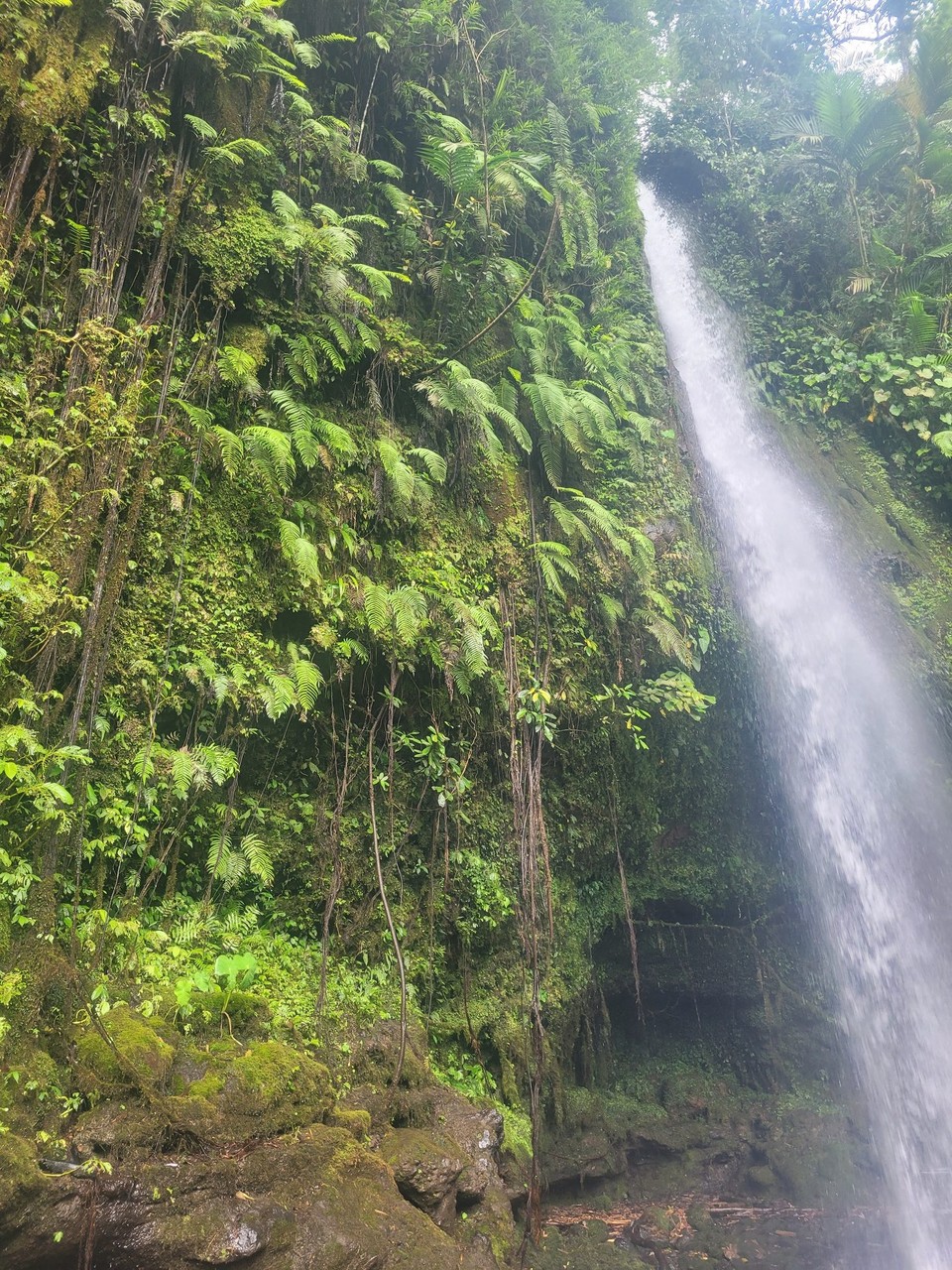 Indonesien - Lombok - 