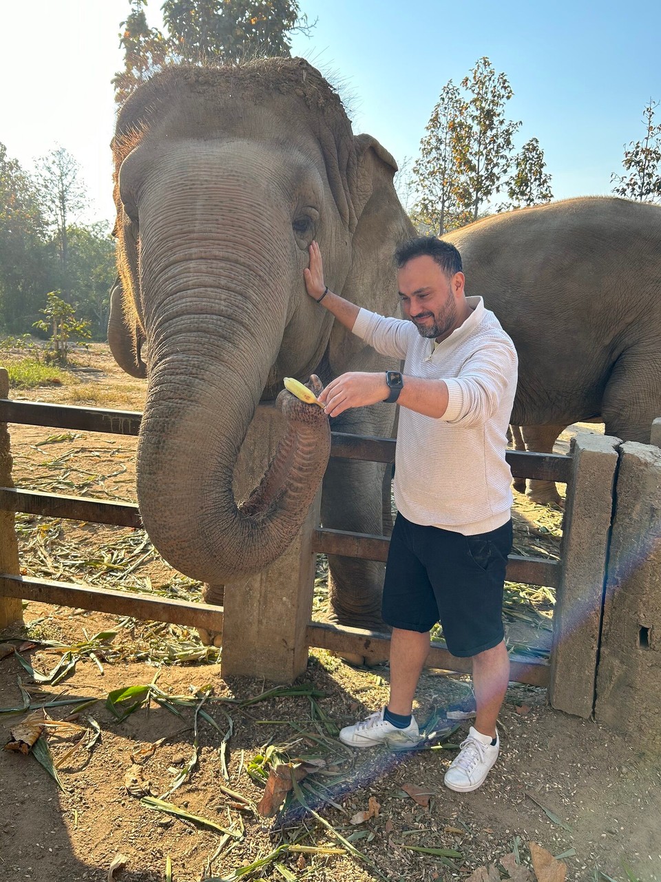 Thailand - Chiang Mai - 