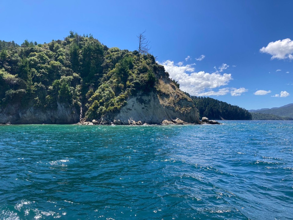 Neuseeland - Marlborough Sounds - 