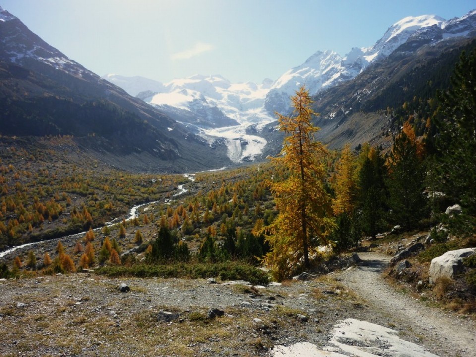 Schweiz - Pontresina/Engadin - 2004 Aussicht auf den Gletscher  auf dem Weg zur Bovalhütte 