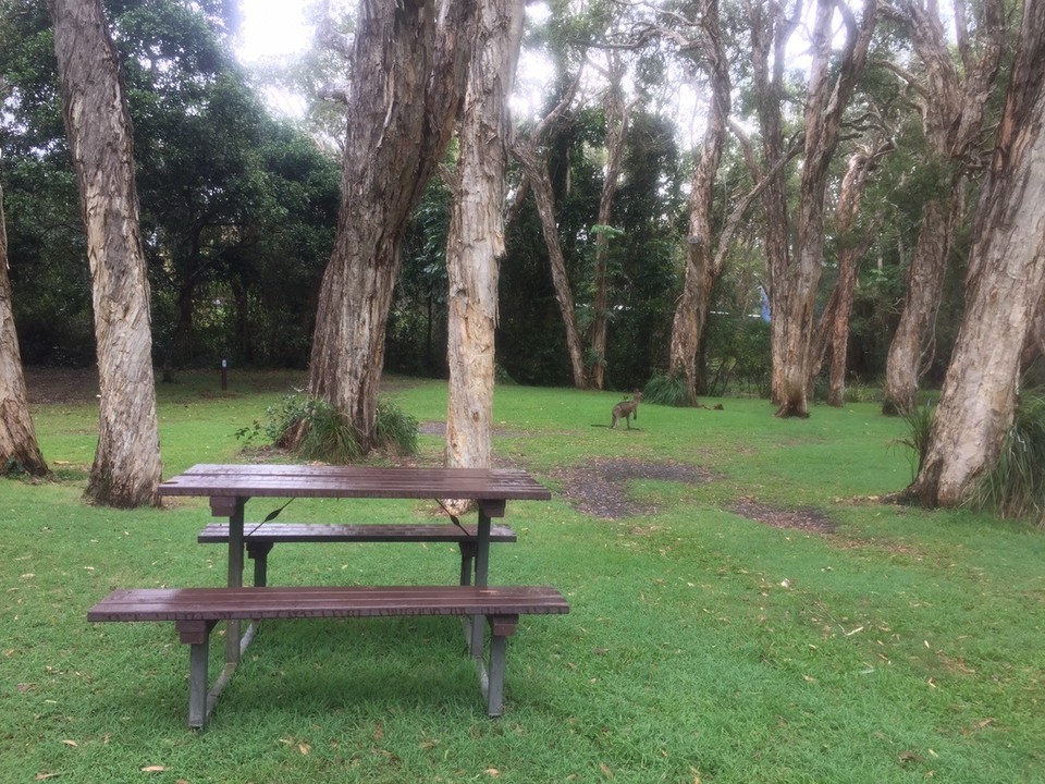  - Australia, Emerald Beach Holiday Park - 