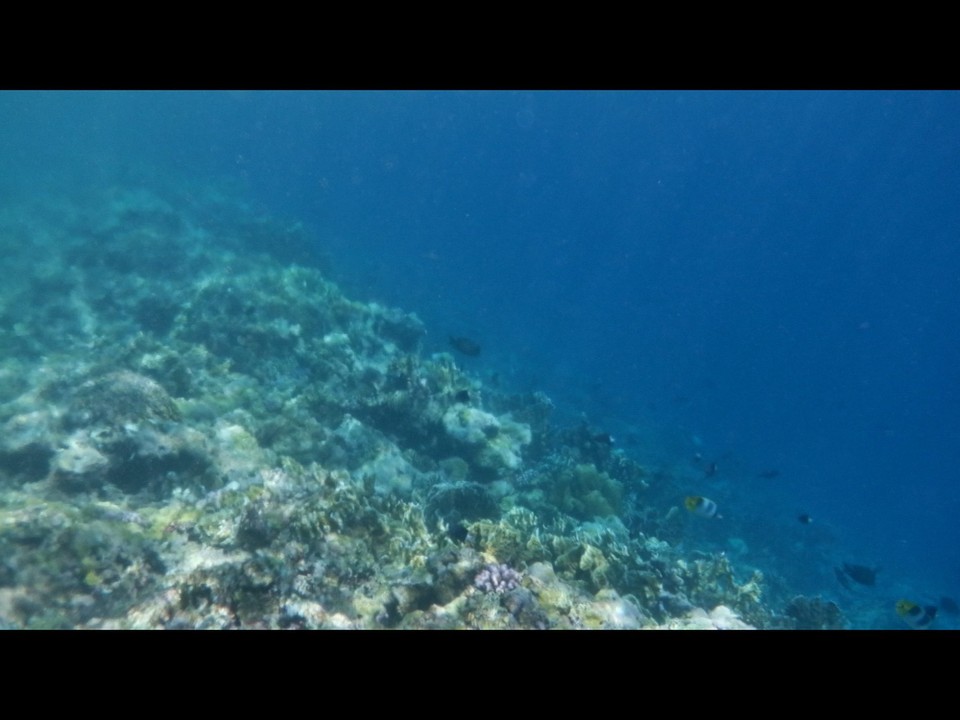 Indonesia - Kabupaten Wakatobi - 